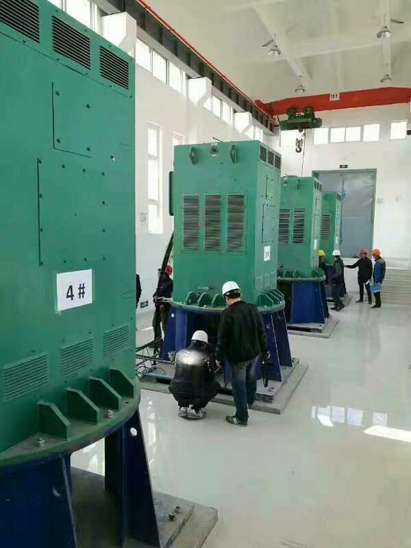 YJTKK4502-6某污水处理厂使用我厂的立式高压电机安装现场