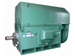 YJTKK4502-6YKK系列高压电机