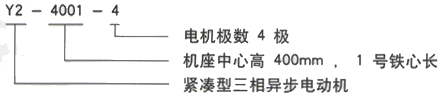 YR系列(H355-1000)高压YJTKK4502-6三相异步电机西安西玛电机型号说明